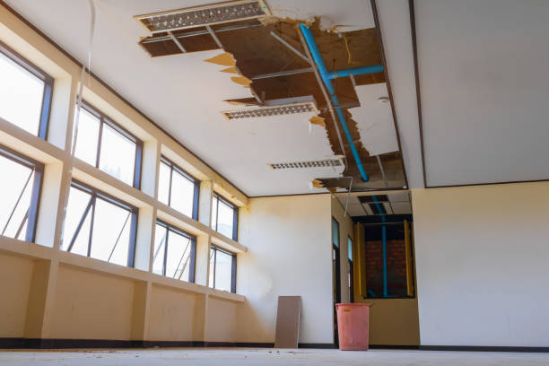 Best Local water damage restoration  in Willard, UT