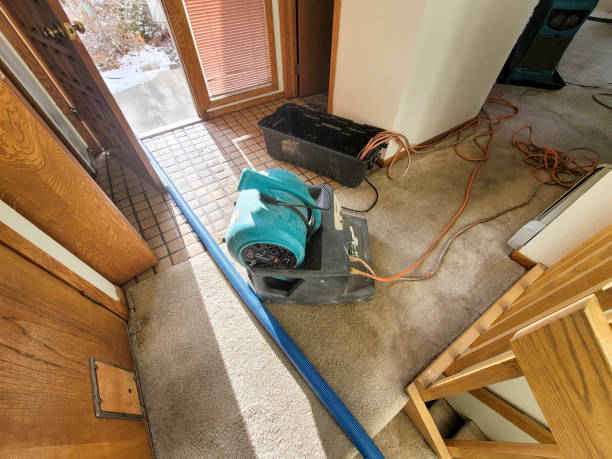 Best 24/7 water damage repair  in Willard, UT