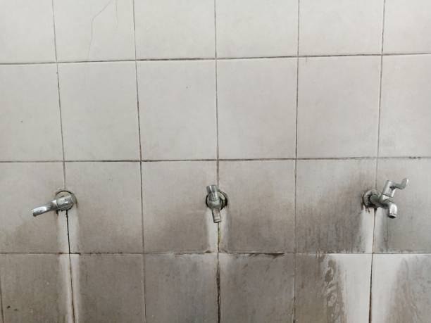 Best Emergency water extraction  in Willard, UT